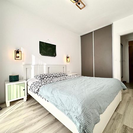 Luca'S Forest Apartment 蒂米什瓦拉 外观 照片