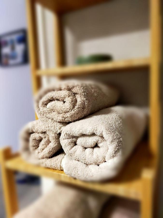 Luca'S Forest Apartment 蒂米什瓦拉 外观 照片